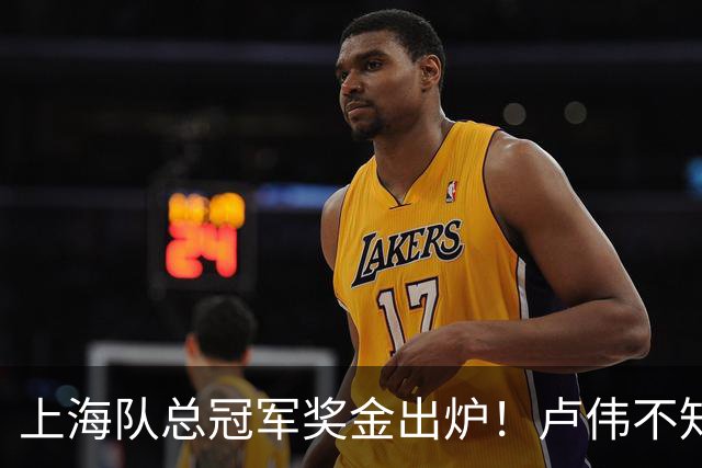 上海队总冠军奖金出炉！卢伟不知道怎么分，张镇麟和王哲林谁多