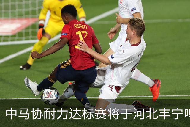 中马协耐力达标赛将于河北丰宁鸣枪 数十家专业马术俱乐部角逐