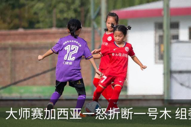 大师赛加西亚一怒折断一号木 组委会首次发出警告