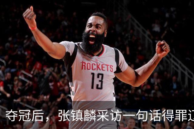 夺冠后，张镇麟采访一句话得罪辽宁，辽蜜：有本事到四川证明价值